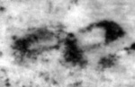 4Q124_tet_P1152-Fg013_L1-R-C02-R01-D07022016-T111753-LR924__012.jpg