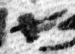 4Q12_aleph_1125_B-367579_l3_1o.jpg