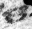 4Q12_het_1125_B-367579_l1_1o.jpg