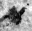 4Q12_tav_1125_B-367579_l4_2o.jpg