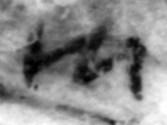 4Q22_tsade_1005_B-371003_l13_1o.jpg