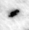 4Q22_separ_1135_B-367660_l4_1o.jpg