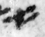 4Q22_aleph_661-1_B-498227_l27_1o.jpg