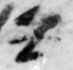 4Q22_waw_661-1_B-498227_l27_1o.jpg