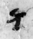 4Q22_waw_661-1_B-498227_l28_2o.jpg