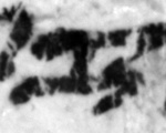 4Q22_zayin_661-1_B-498227_l30_1o.jpg
