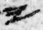4Q22_yod_661-1_B-498227_l28_1o.jpg