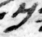 4Q22_caph_661-1_B-498227_l27_1o.jpg