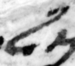 4Q22_lamed_661-1_B-498227_l27_1o.jpg