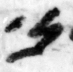 4Q22_nun_661-1_B-498227_l31_1o.jpg