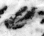4Q22_ayin_661-1_B-498227_l27_1o.jpg
