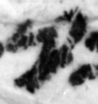 4Q22_qof_661-1_B-498227_l30_1o.jpg