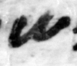 4Q22_shin_661-1_B-498227_l32_1o.jpg