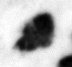 4Q22_separ_661-1_B-498227_l27_1o.jpg
