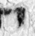 4Q45_gimel_L4_1o_P1139-Fg001-R-C01-R01-D18012016-T113032-LR924__012.jpg