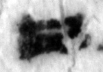4Q45_het_L6_1o_P1139-Fg001-R-C01-R01-D18012016-T113032-LR924__012.jpg