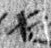 4Q46_aleph_L3_1o_M41387-1-E.jpg