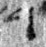 4Q46_dalet_L2_1o_M41387-1-E.jpg