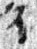 4Q46_waw_L1_1o_M41387-1-E.jpg