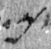 4Q46_caph_L2_1o_M41387-1-E.jpg