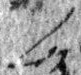 4Q46_lamed_L1_1o_M41387-1-E.jpg