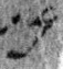 4Q46_nun_L2_1o_M41387-1-E.jpg