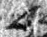 4Q46_ayin_L3_2o_M41387-1-E.jpg