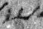 4Q46_shin_L2_1o_M41387-1-E.jpg