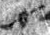 4Q46_tav_L1_1o_M41387-1-E.jpg