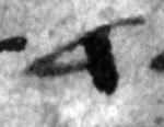 4Q101_dalet_1152_B-298681_l6_1o.jpg