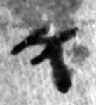 4Q101_waw_1152_B-298681_l2_1o.jpg