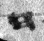4Q101_het_P1152-Fg003_L5_1o-R-C02-R01-D01022016-T141048-LR924__012.jpg