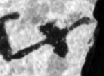 4Q101_tav_1152_B-298681_l6_1o.jpg