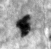 4Q101_separ_1152_B-298681_l6_1o.jpg