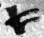 4Q123_aleph_P1152-Fg006_L1_1o-R-C02-R01-D04022016-T143353-LR924_012.jpg