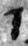 4Q123_gimel_P1152-Fg001_L2_1o-R-C02-R01-D04022016-T135431-LR924_012.jpg
