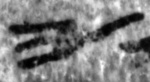 6Q2_yod_P894-Fg002_L3_1o-R-C01-R01-D16082015-T100656-LR924__012.jpg