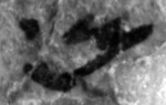 6Q2_mem_P894-Fg002_L4_1o-R-C01-R01-D16082015-T100656-LR924__012.jpg