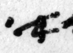 11Q1_aleph_1039-3-Fg007_L3_2o-R-C01-R01-D05122011-T121723-LR924_012.jpg