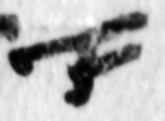 11Q1_aleph_P1039_1-Fg001_col_5_L2_1o-R-C02-R01-D21072014-T120453-LR924__012-ST.jpg