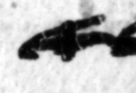 11Q1_aleph_1039-3-Fg007_L3_1o-R-C01-R01-D05122011-T121723-LR924_012.jpg