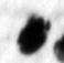 11Q1_separ_P1039_1-Fg001_col_5_L2_1o-R-C02-R01-D21072014-T120453-LR924__012-ST.jpg