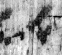 Mas-1o_aleph_recto_L2_1o.jpg