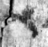Mas-1o_gimel_recto_L3_1o.jpg