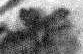 1Q14_aleph_F012_L3.jpg