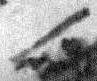 1Q14_lamed_F012_L3.jpg