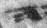 1Q15_he_F001_L4_1o.jpg