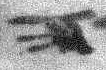 1Q15_he_F001_L4_2o.jpg