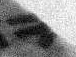 1Q15_yod_F001_L4_1o.jpg