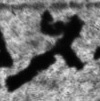 1QpHab_waw_F010_L7.jpg